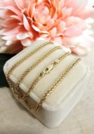 Złoty łańcuszek p.585/8,50g  Lisi Ogon  al.14