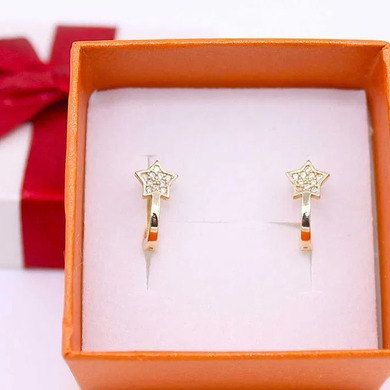 Złote kolczyki p.585/1,54g